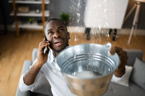 Best Flood restoration services  in Osceola Mills, PA