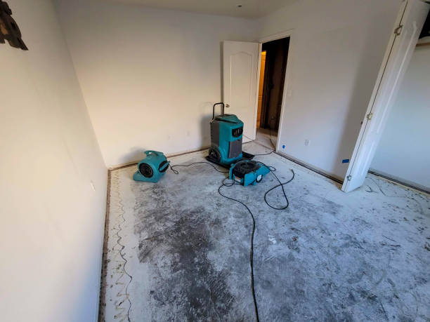 Best Flood damage cleanup  in Osceola Mills, PA