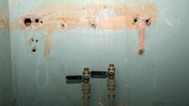 Best Residential water damage restoration  in Osceola Mills, PA