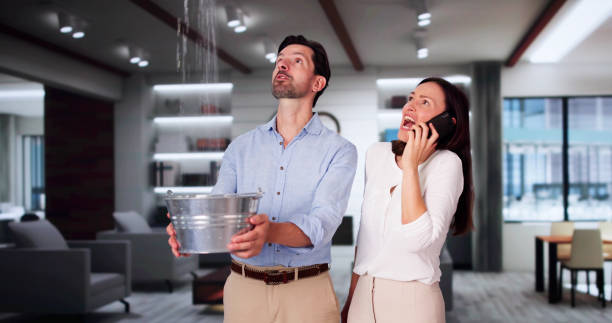 Best Water damage contractors near me  in Osceola Mills, PA